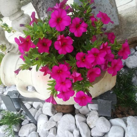 Apartman Pelcic,With Wifi And Free Parking Kostrena Zewnętrze zdjęcie