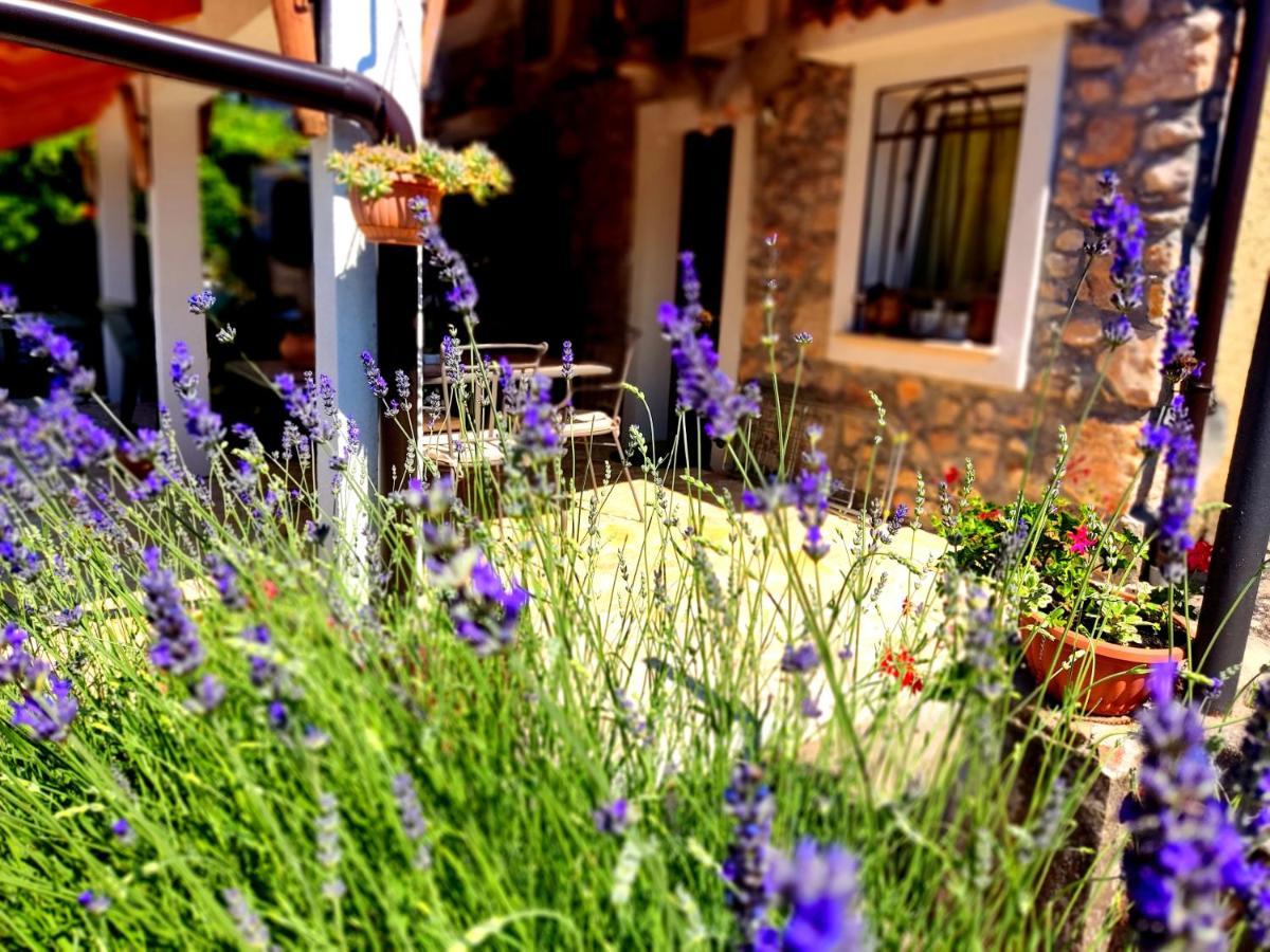 Apartman Pelcic,With Wifi And Free Parking Kostrena Zewnętrze zdjęcie